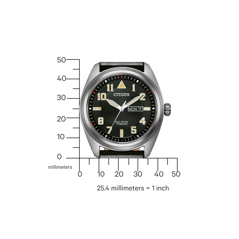 BM8560-29EE