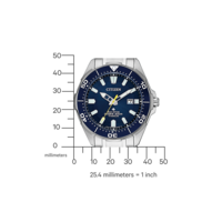 BN0201-88L