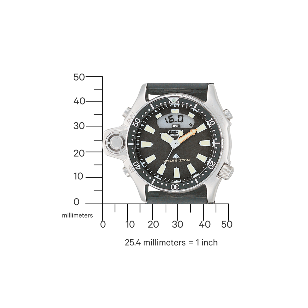 JP2000-08E Promaster Diver