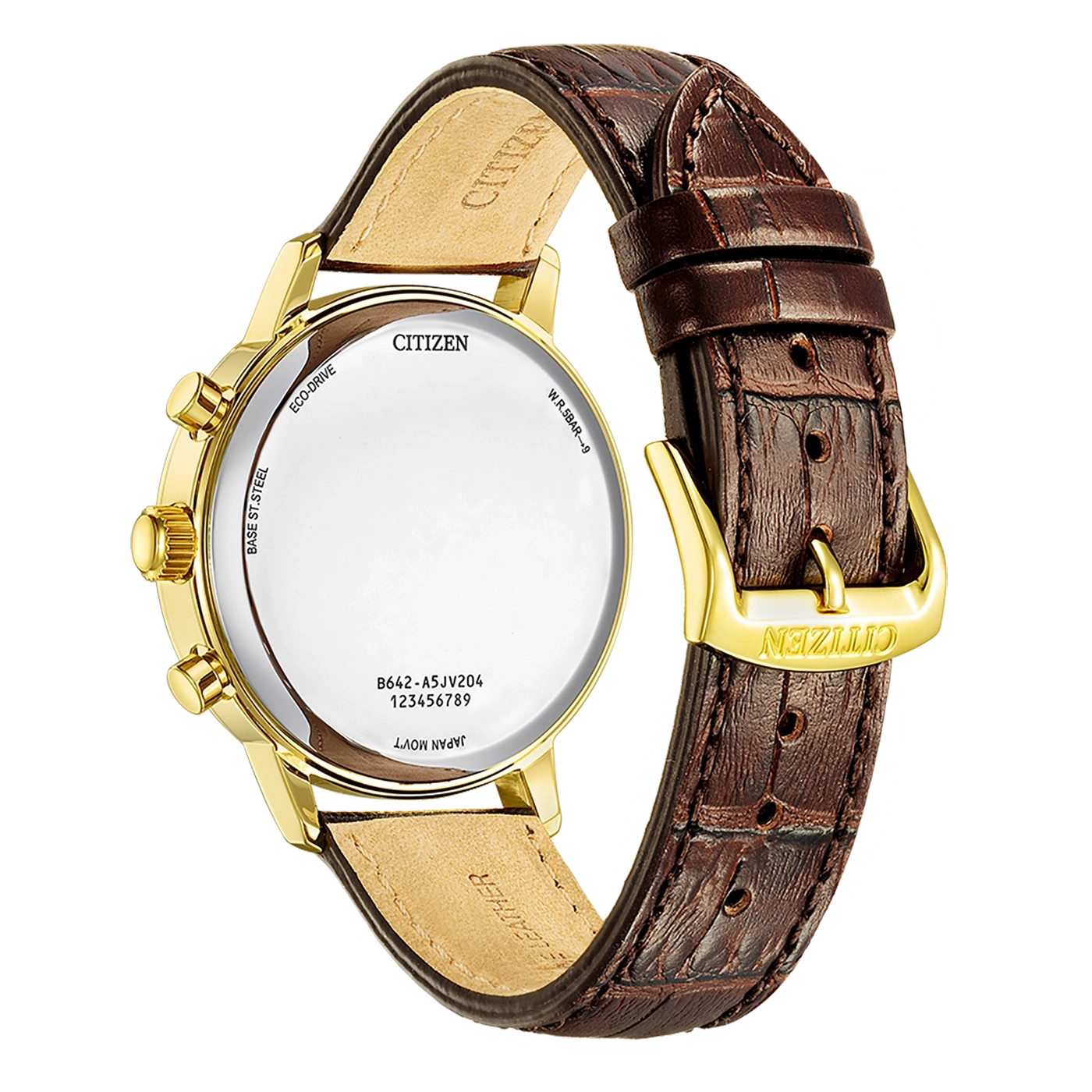 Citizen-Uhr, goldenes Gehäuse, braunes Lederarmband, Rückendetails: Eco-Drive, Japan Movt, W.R.5BAR+9