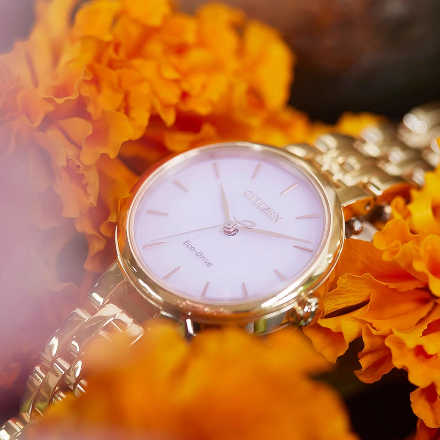 Goldene Citizen-Uhr mit weißem Zifferblatt auf orangefarbenen Blumen, Eco-Drive.