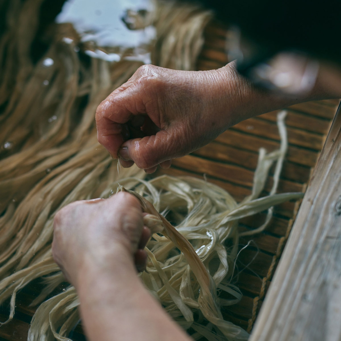 Hände bearbeiten Fasern im Wasser, Herstellung eines Naturmaterials.