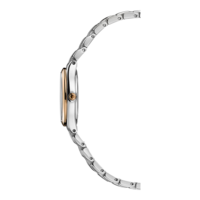 Seitenansicht einer silbernen und goldenen Armbanduhr auf weißem Hintergrund.