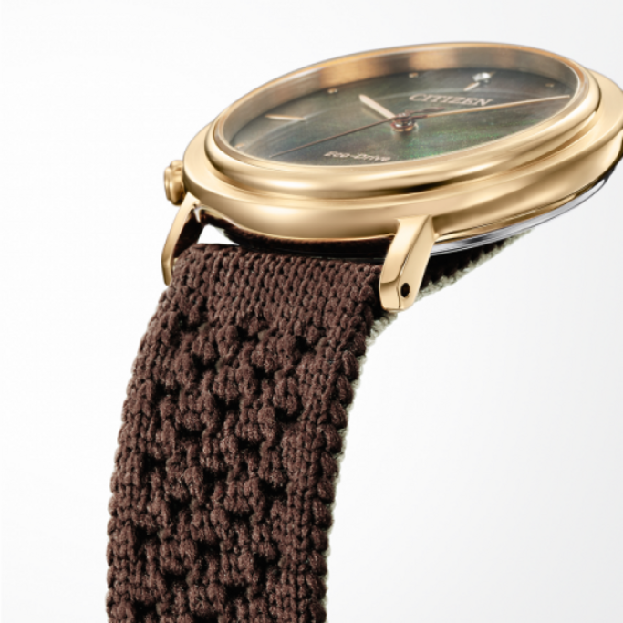 Nahaufnahme einer goldenen Uhr mit braunem gewebtem Armband, Citizen Eco-Drive.