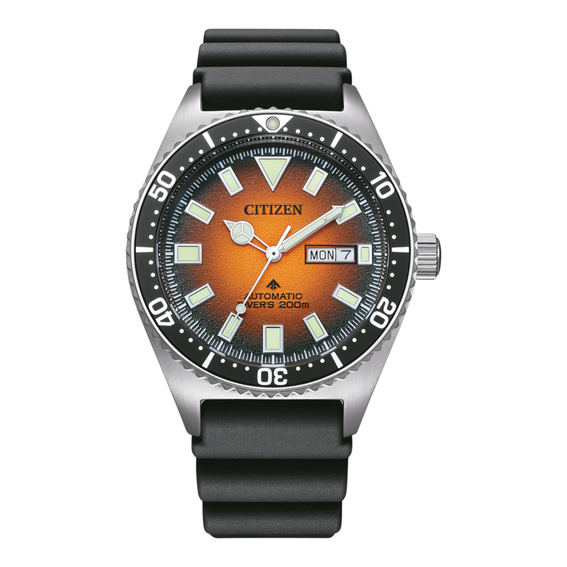 NY0120-01ZE Promaster Mechanical Diver