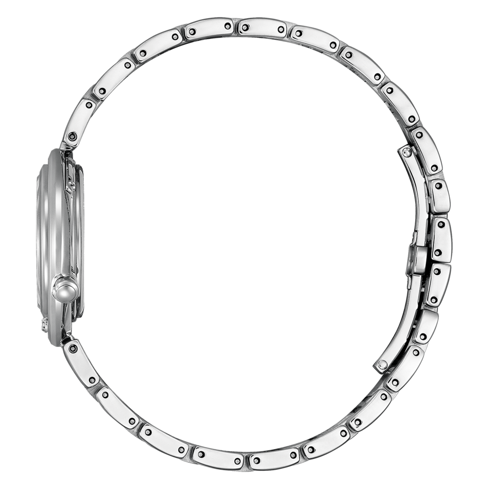EM1110-81N