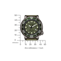 BN0157-11X Promaster Eco-Drive Diver
