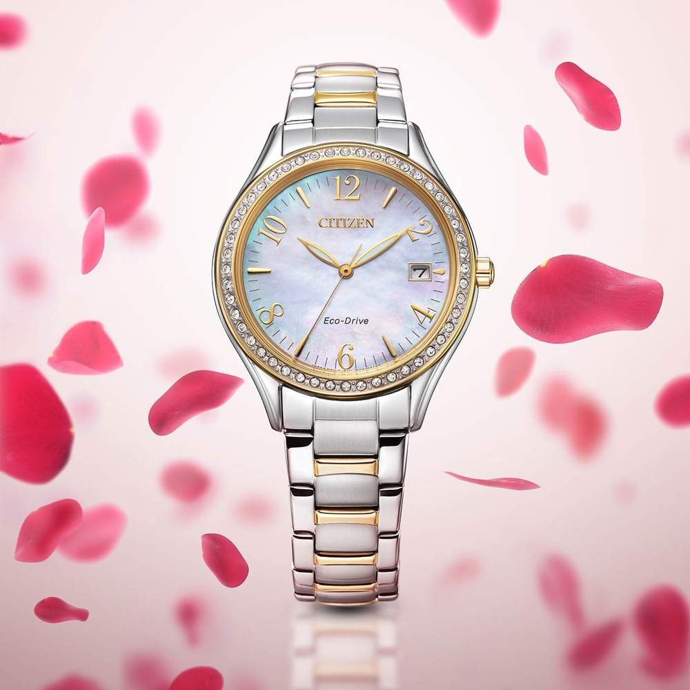EO1184-81D online bei Citizen bestellen