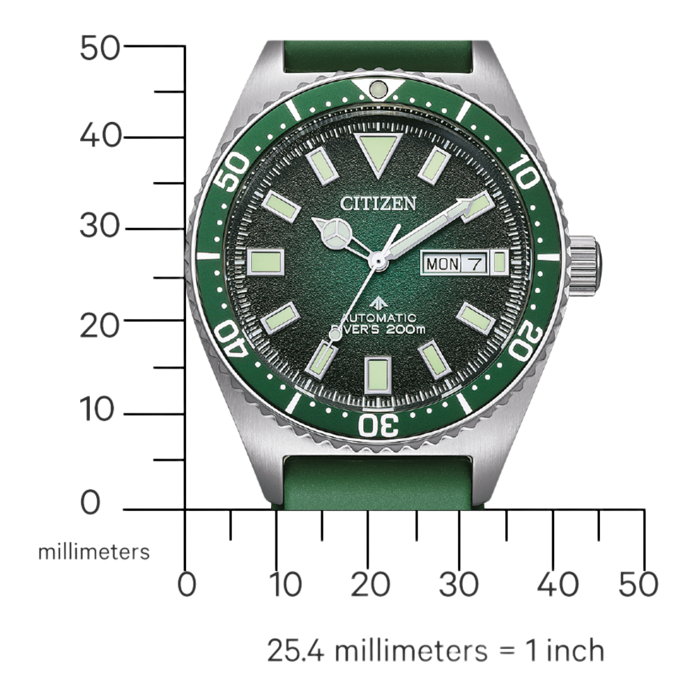 NY0121-09XE Promaster Mechanical Diver