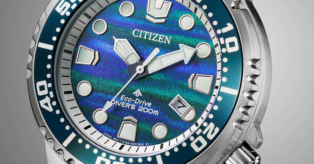 de.citizenwatch.eu