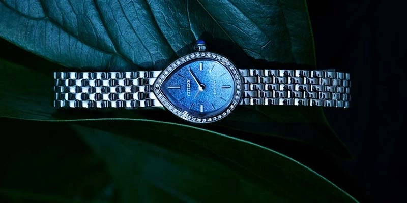 Eine silberne Uhr mit blauem Zifferblatt auf einem grünen Blatt