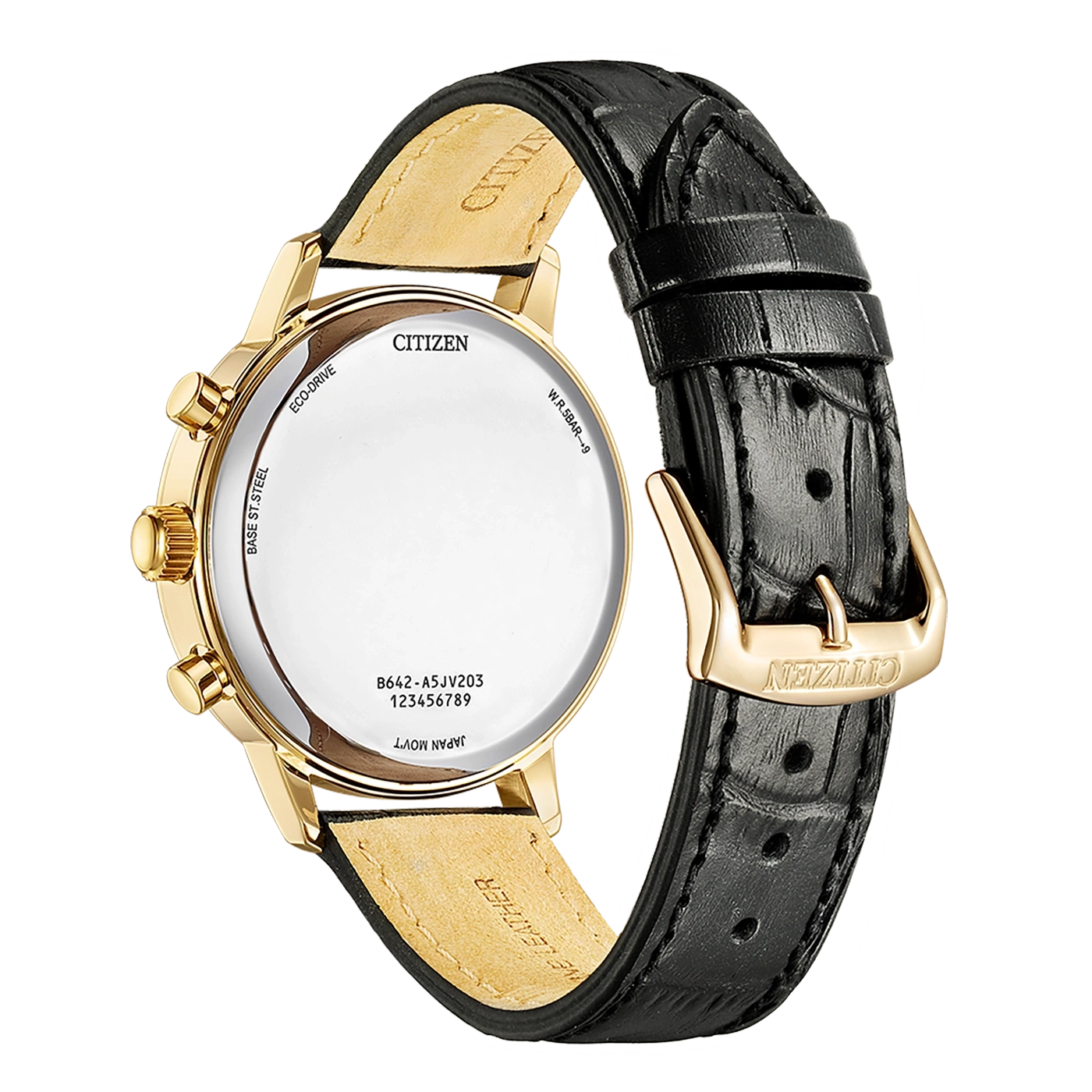 Citizen-Uhr, goldenes Gehäuse, schwarzes Lederarmband, Eco-Drive, Japan-Uhrwerk, W.R.5BAR+9