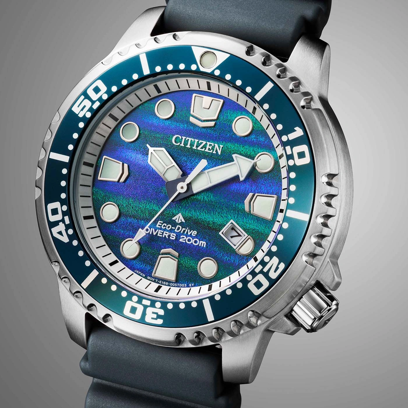 Nahaufnahme einer Citizen Eco-Drive Taucheruhr mit blau-grünem Zifferblatt.