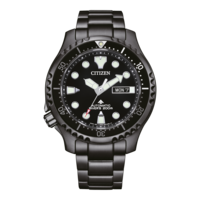 NY0145-86EE Promaster Mechanical Diver