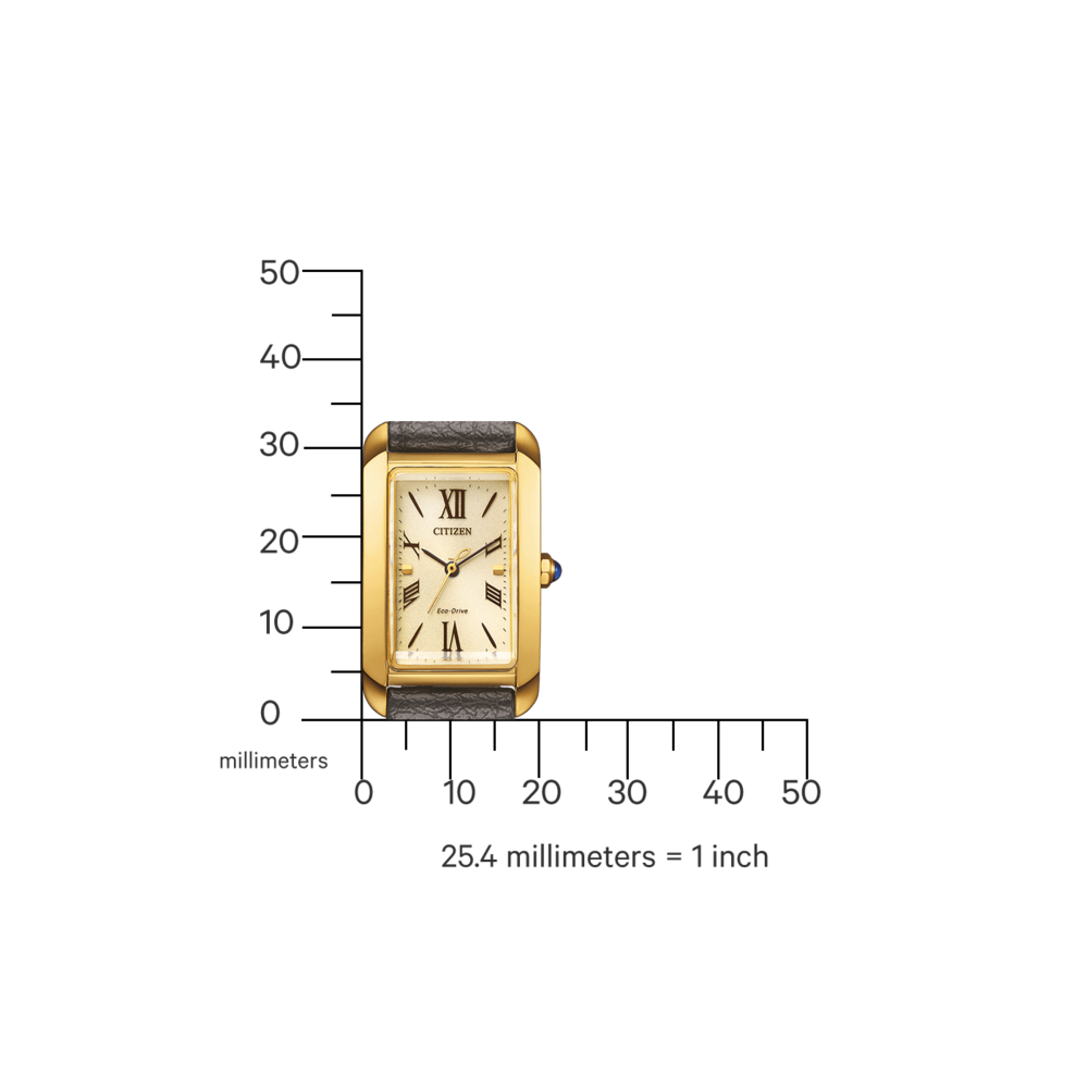 EW5622-09P Citizen L