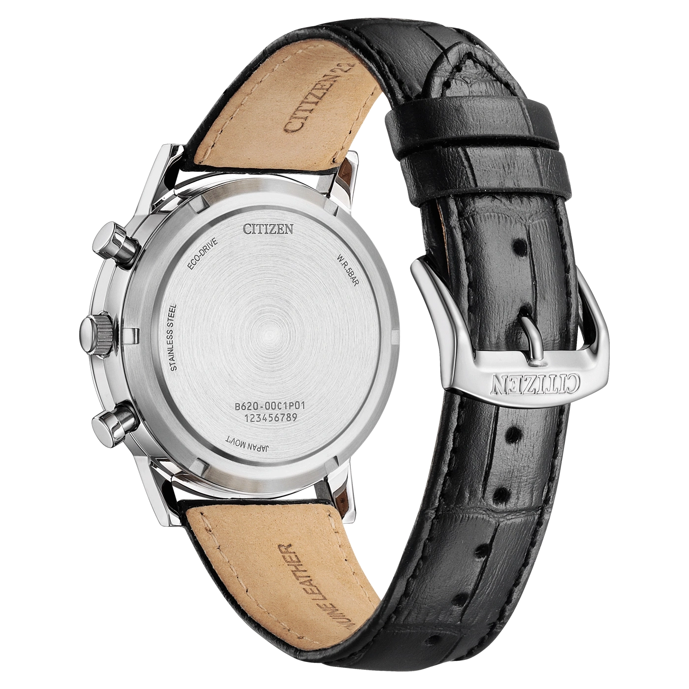 Citizen-Uhrrückseite, Edelstahl, Lederarmband, Eco-Drive, W.R.5BAR, Japan Movt.