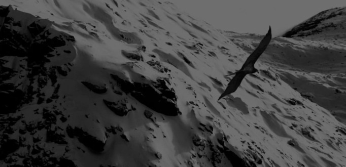 This black and white image depicts a majestic bird of prey, likely a vulture or condor, soaring against a dramatic backdrop of snow-covered mountains. The steep, rugged terrain emphasizes the bird's powerful flight and the desolate beauty.