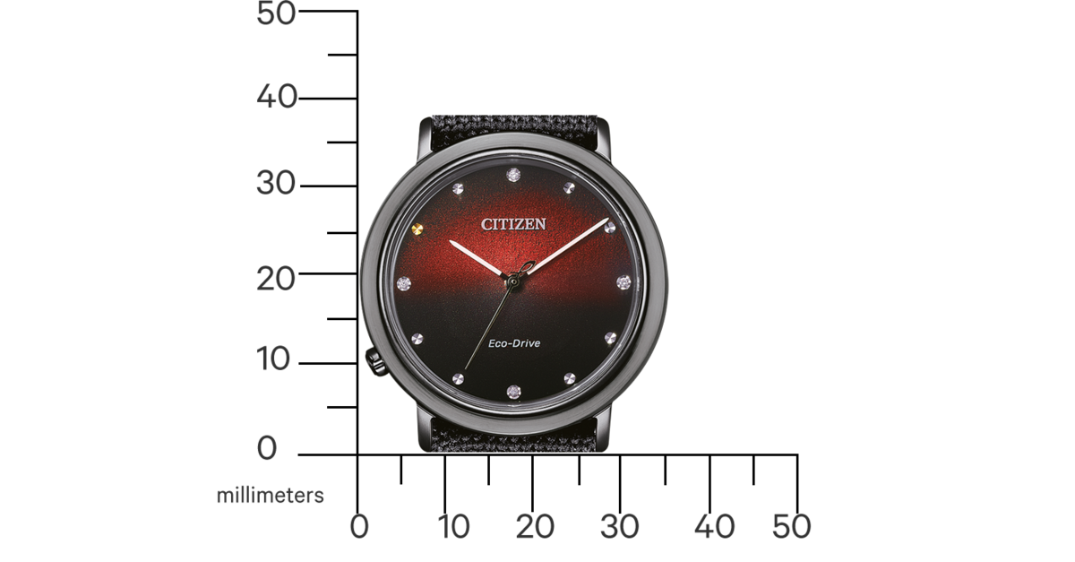 シチズン（CITIZEN） エコドライブ　EM1007-47E 中古【EM1007-47E】シチズン（CITIZEN） シチズン エル アンビリュナ