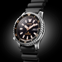 NY0160-66EE Promaster Marine