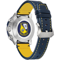 JY8078-01L Promaster Skyhawk "Blue Angel"