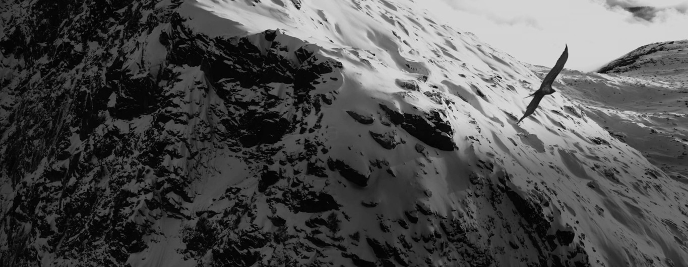 This black and white image shows a lone Kazakh eagle hunter on horseback in a vast, snow-covered landscape. The hunter holds a large eagle aloft. Distant mountains and sparse trees complete the desolate, yet majestic scene, capturing a timeless tradition