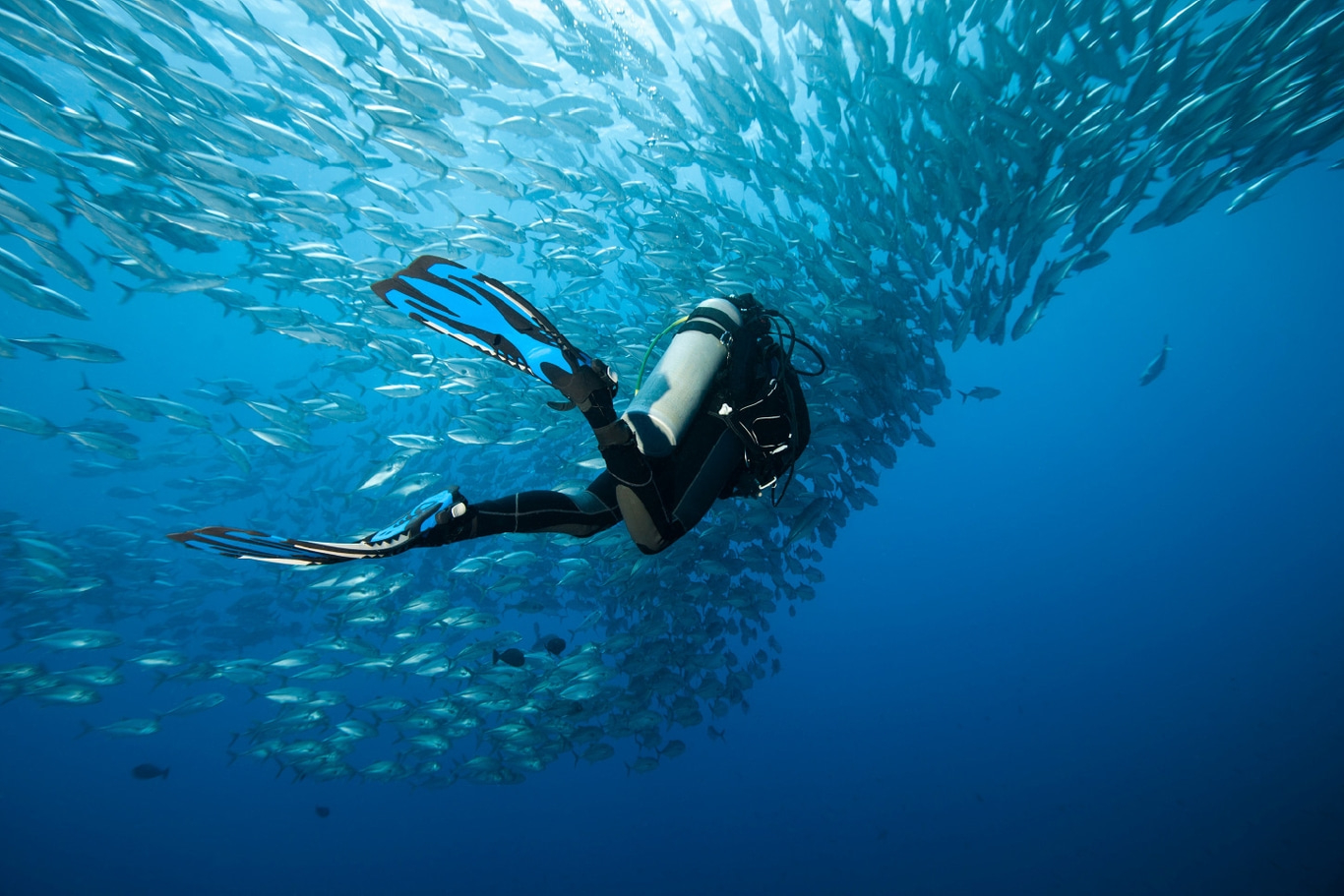 Taucher schwimmt durch einen Fischschwarm im tiefblauen Ozean.